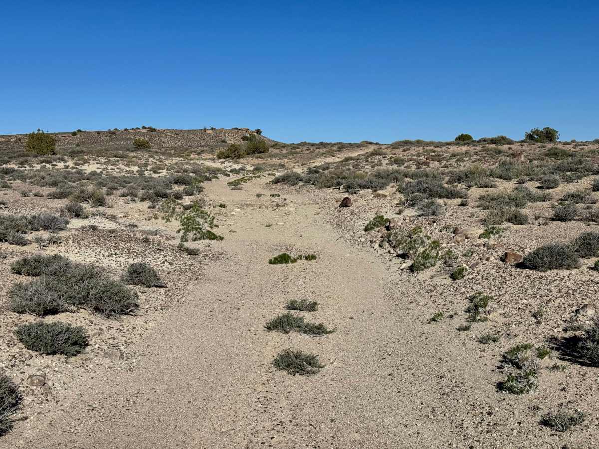 Yellow Cat Loop photo 3