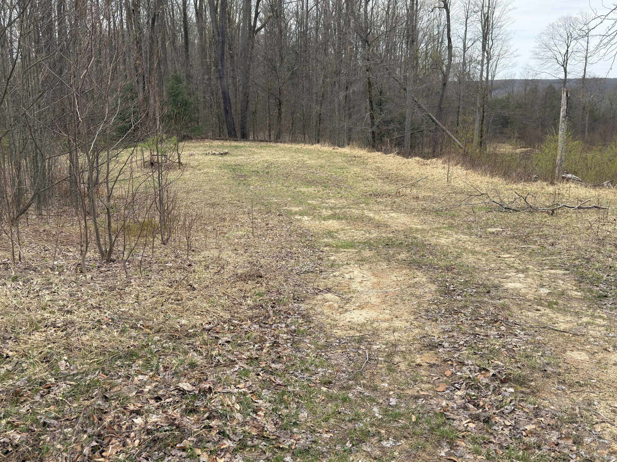 Morrison Run - FS 266 photo 6