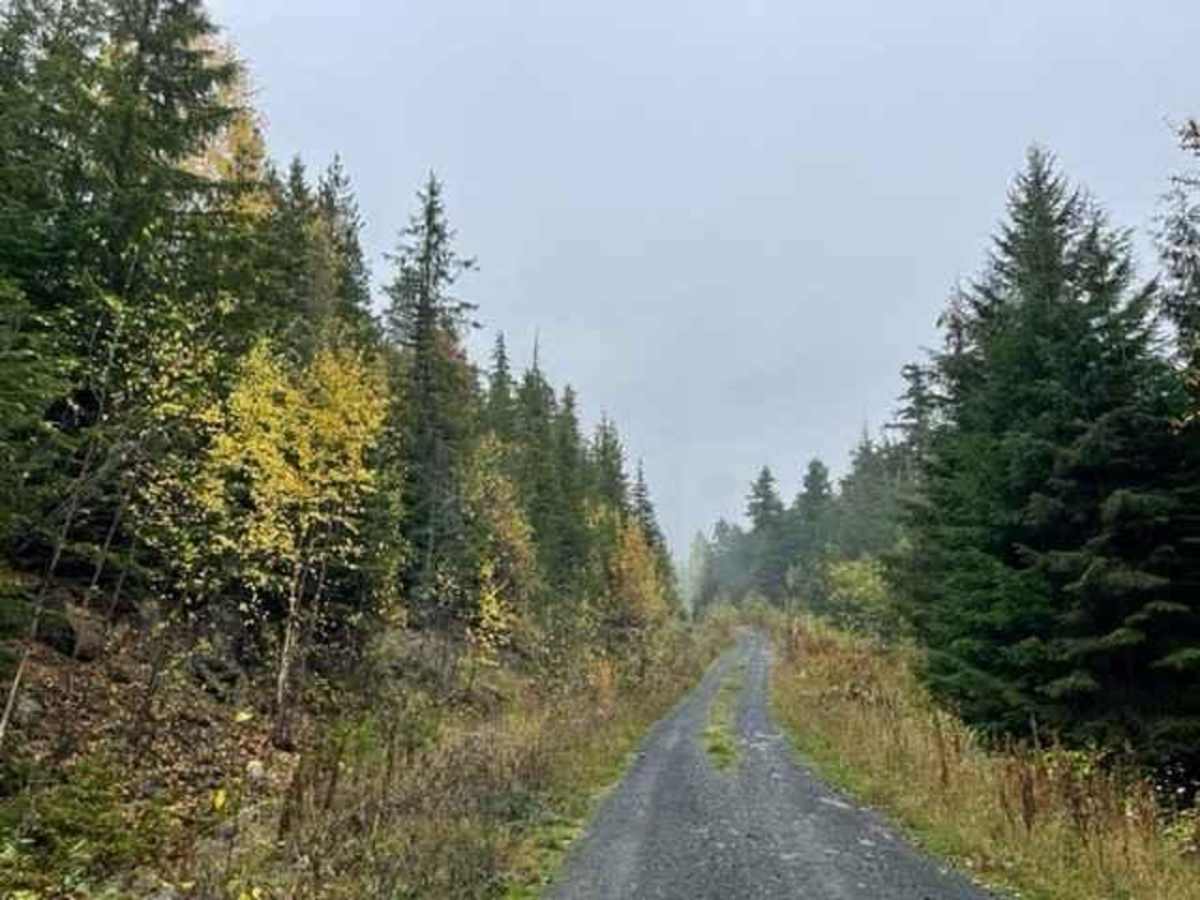 Brown Bear Road photo 4