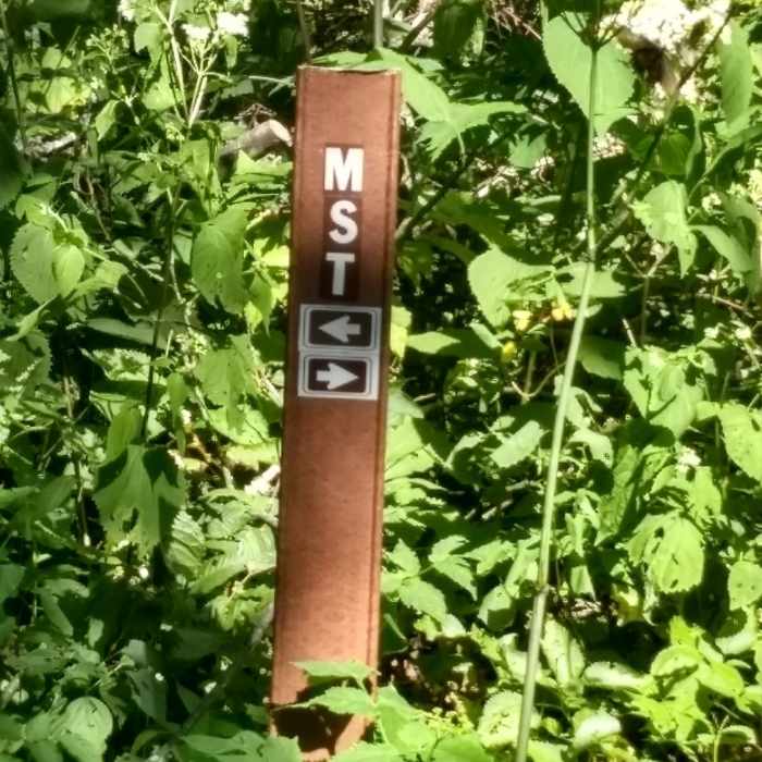 Turn right onto the MST to get to Bear Pen Gap Falls Near Bearpen Gap Waterfall