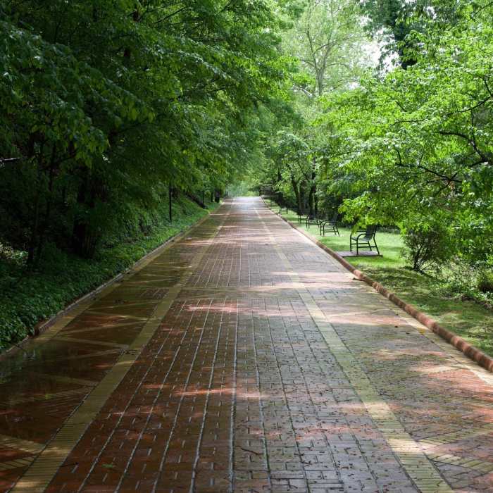 The Grand Promenade is a paved trail that runs behind bathhouse row. Near Honeysuckle Trail