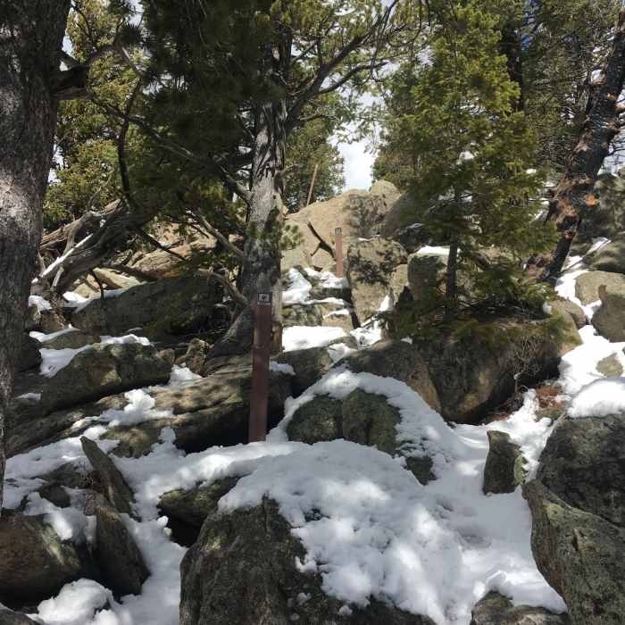 Near Rim Meadow Connector