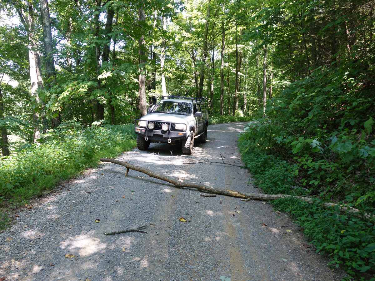 Rich Mountain Lookout photo 5