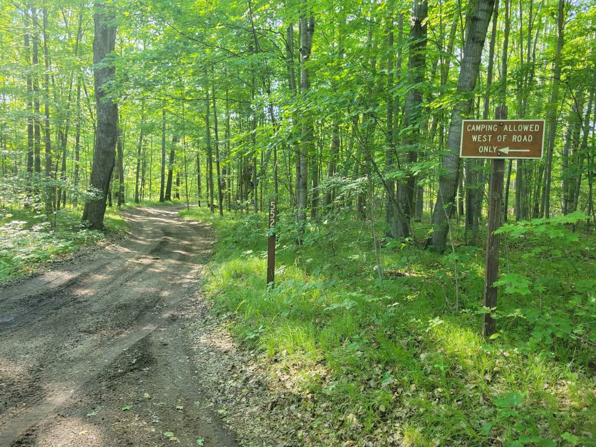 5525 Forest Road photo 5