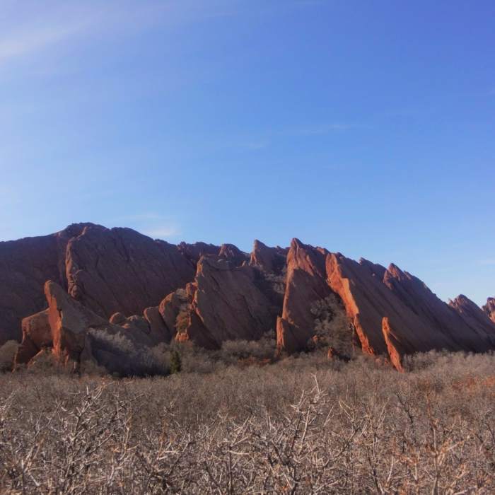 Near Willow Creek Trail