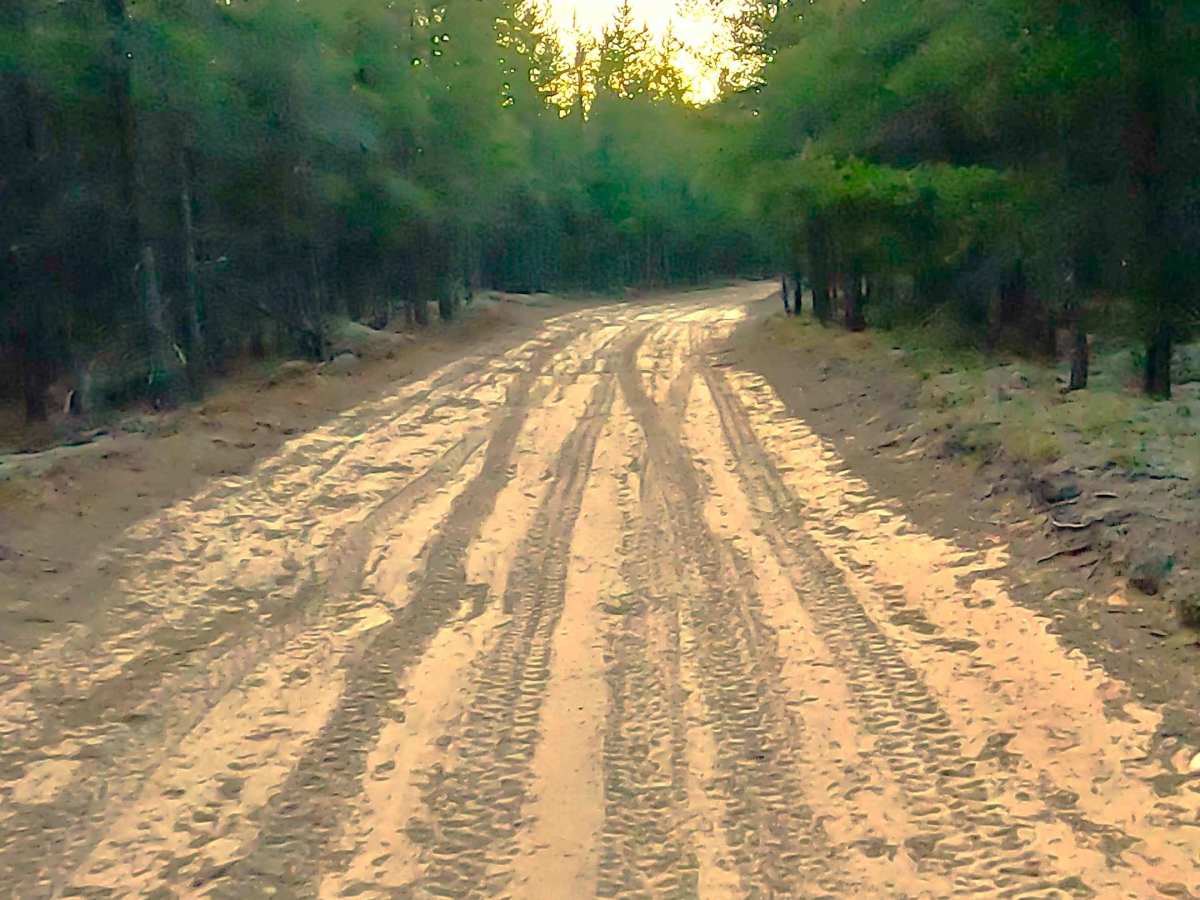 W Wilderness Road photo 3