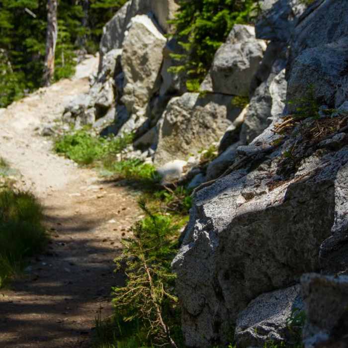 Near Elkhorn Crest Trail: Lost Lake + Summit Lake