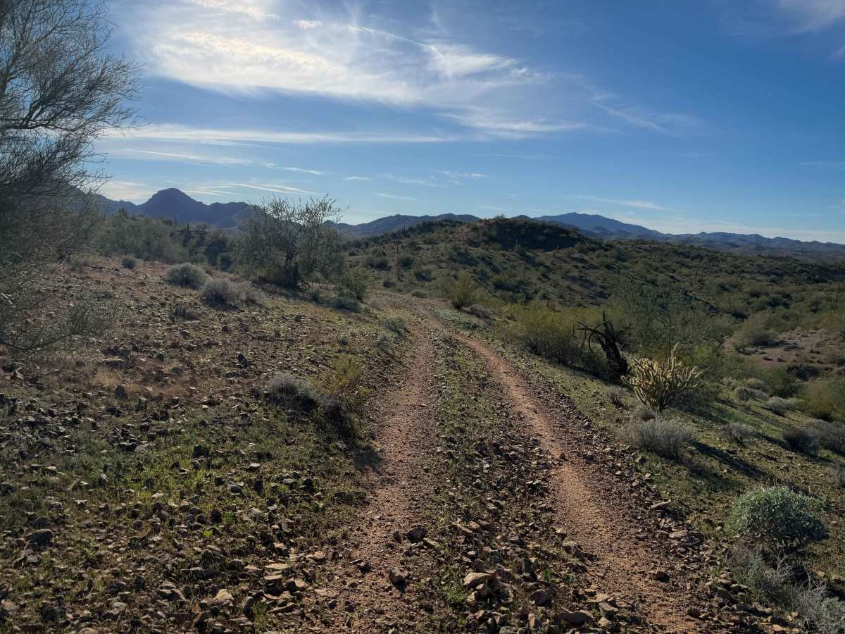 Paloverde Ridge  photo 5
