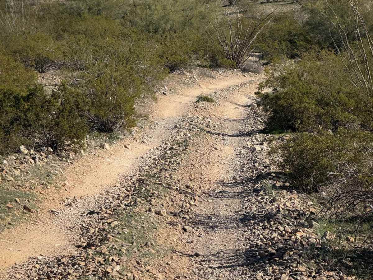 Access Trail  photo 4