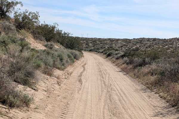 BLM SC94