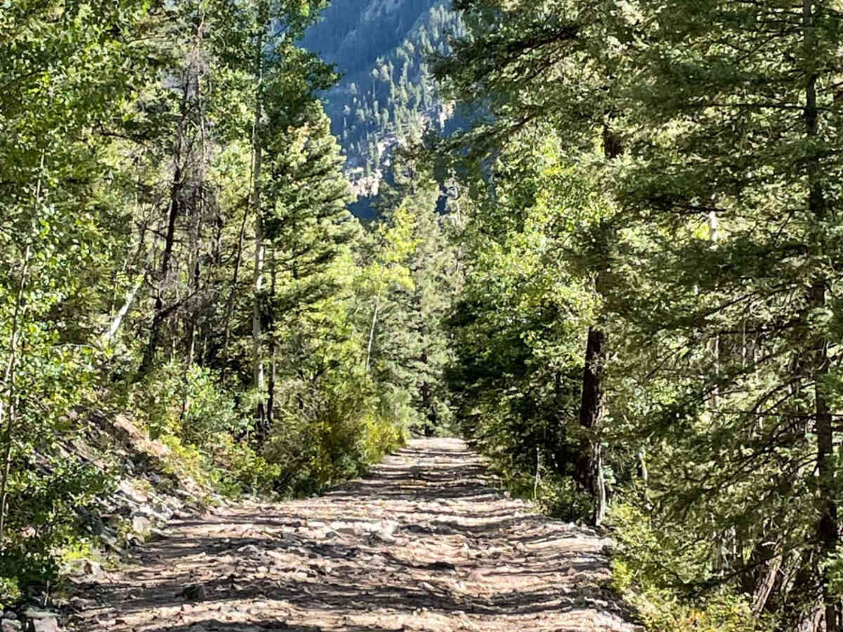 Lime Creek Road photo 6