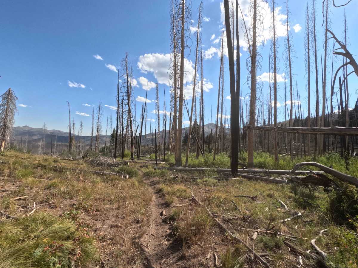 Placer Creek Trail - FS 7141 trail photo