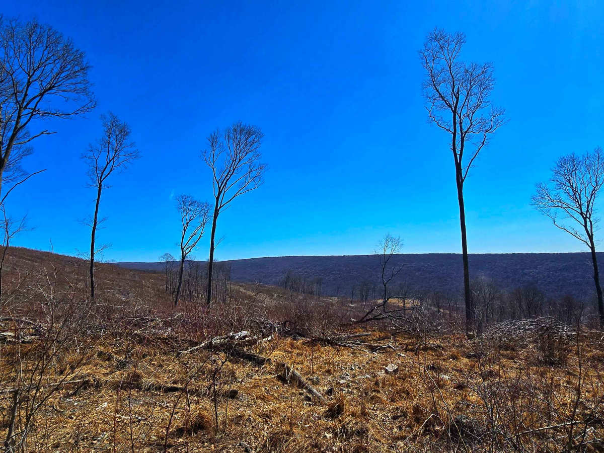 Slusser Rd trail photo