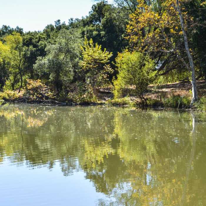 Near Serpentine Trail