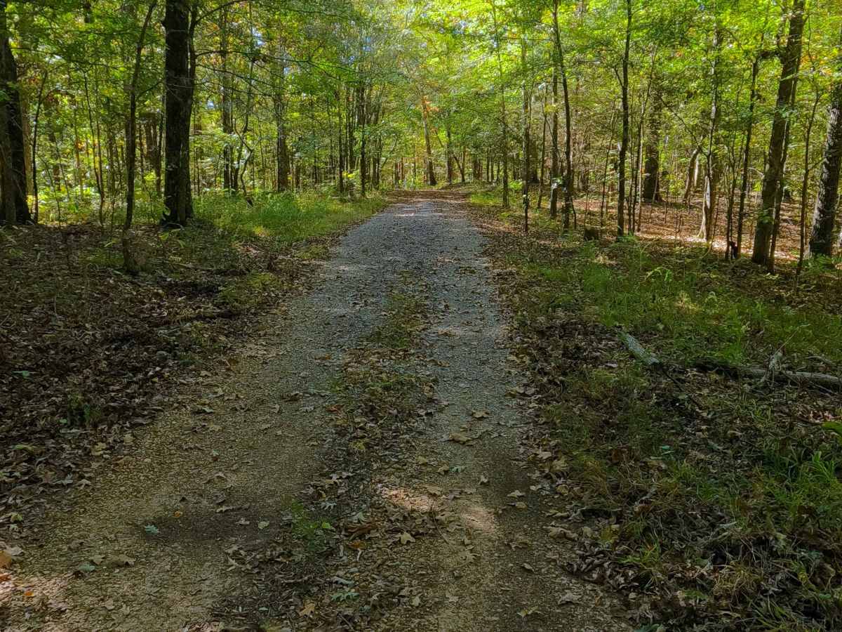 Boardinghouse Access - FS 333 trail photo