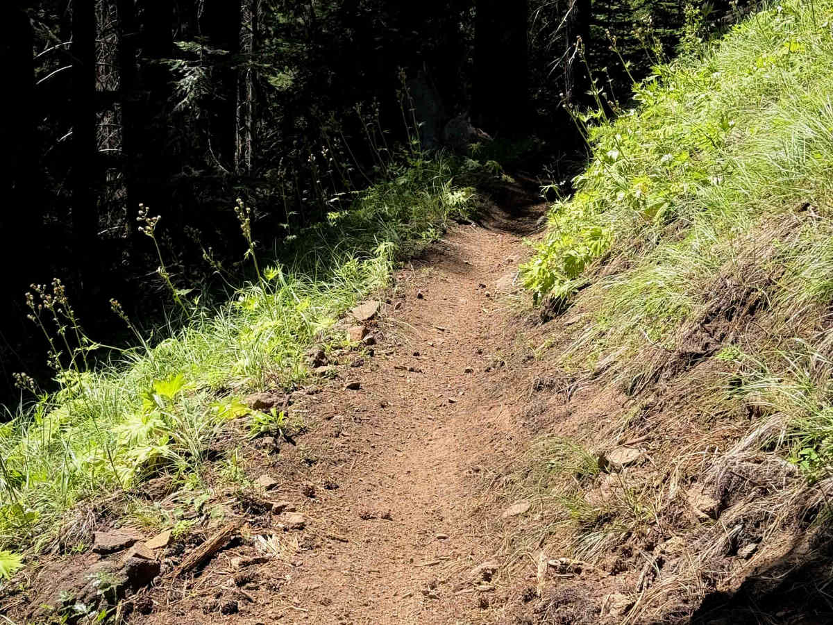 West Quartz Creek Loop - 952 photo 3