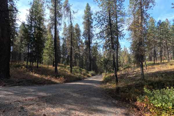 Starvation Flat Road