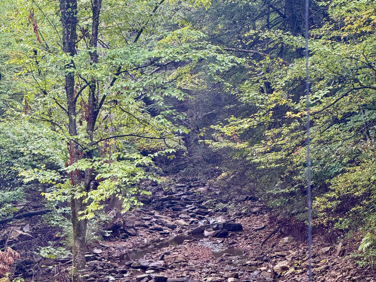Big Medix Grade Road photo 6