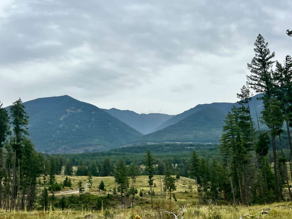 Loon Lake Meadows photo 2