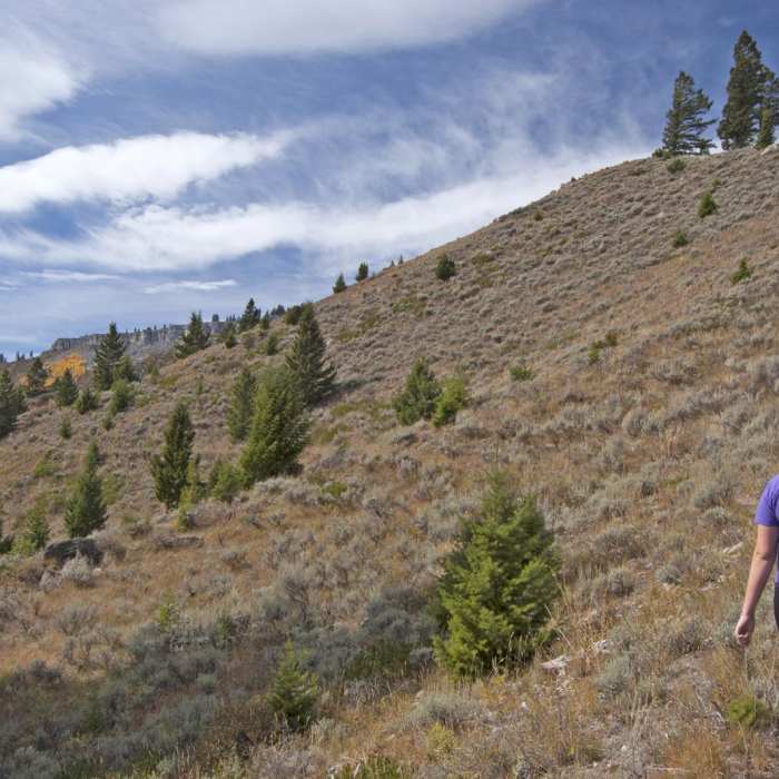 Near Howard Eaton Trail: Golden Gate