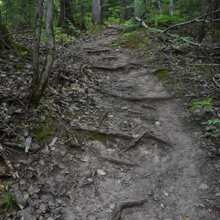Near Cascade Falls Trail Near Cascade Falls Trail