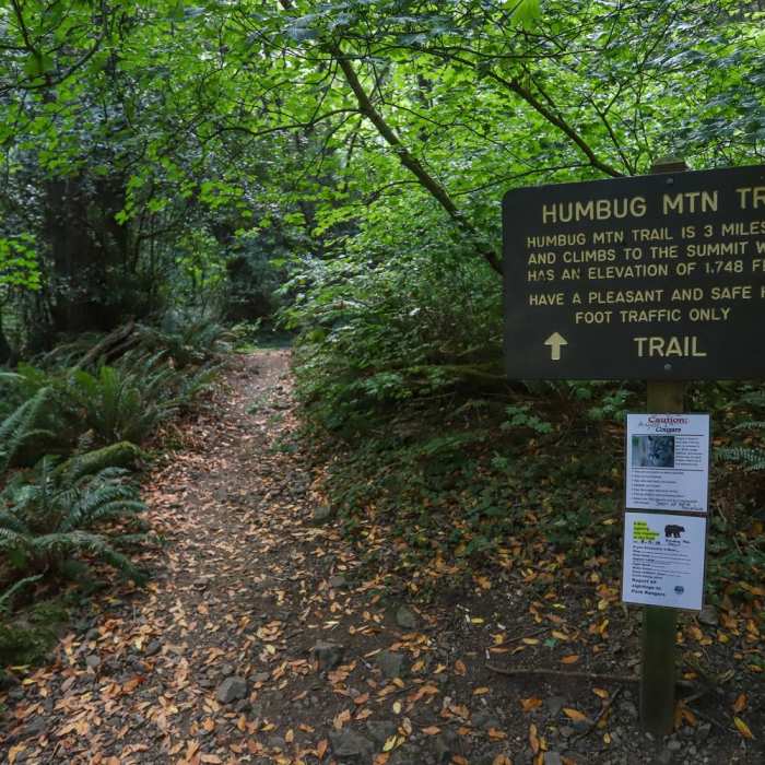 Near Humbug Mountain Trail