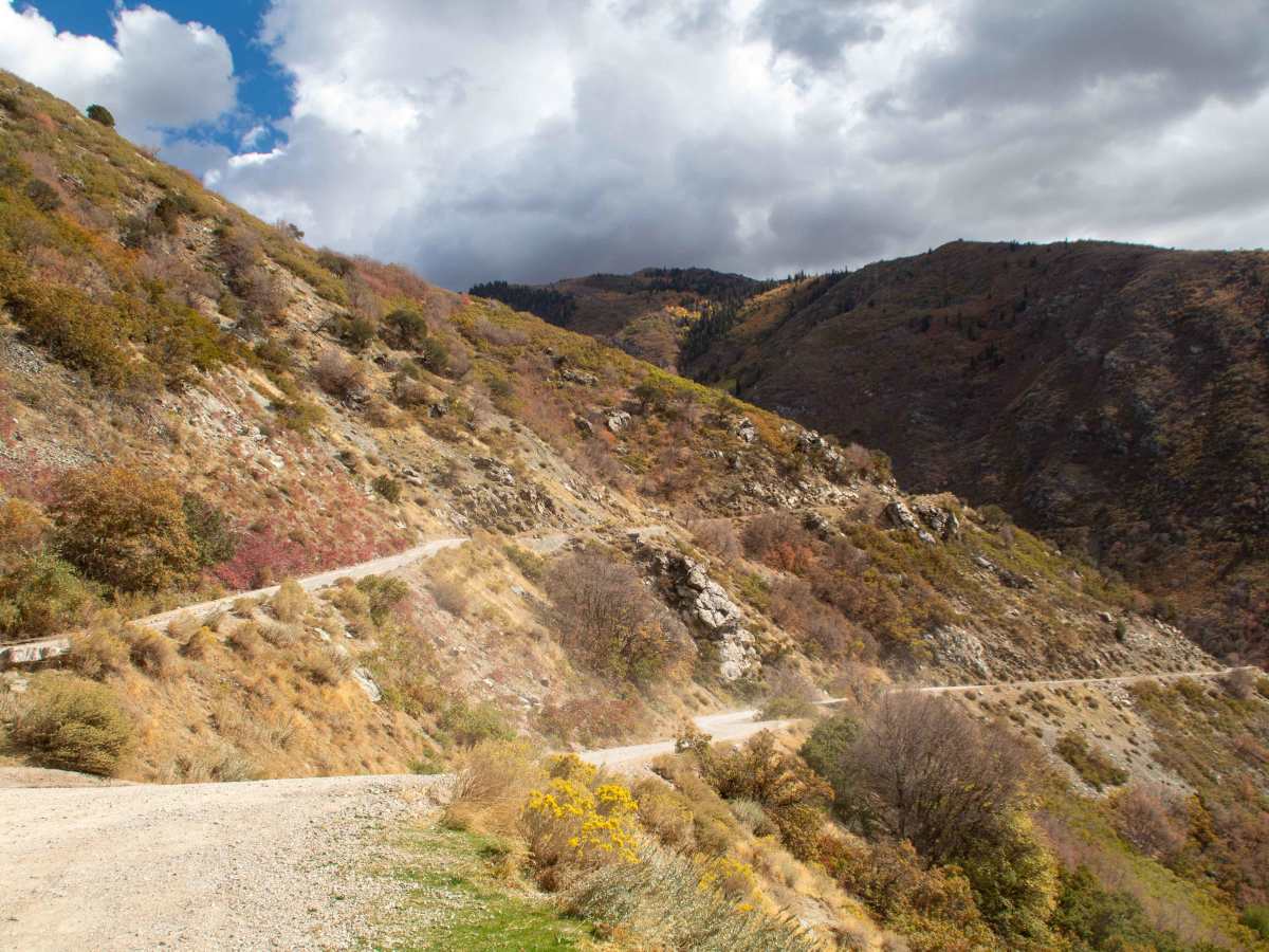 Farmington Canyon Trail trail photo