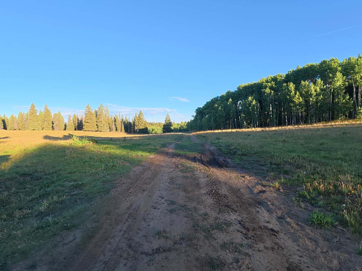 North Elk Cutoff Road - FS 248 photo 6