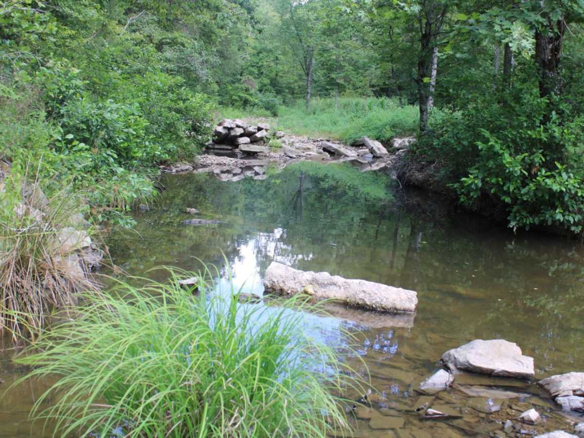 West Boundary photo 4