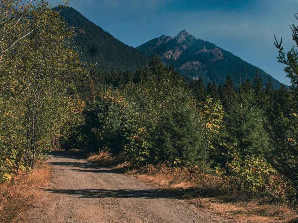 Cougar Spur trail photo