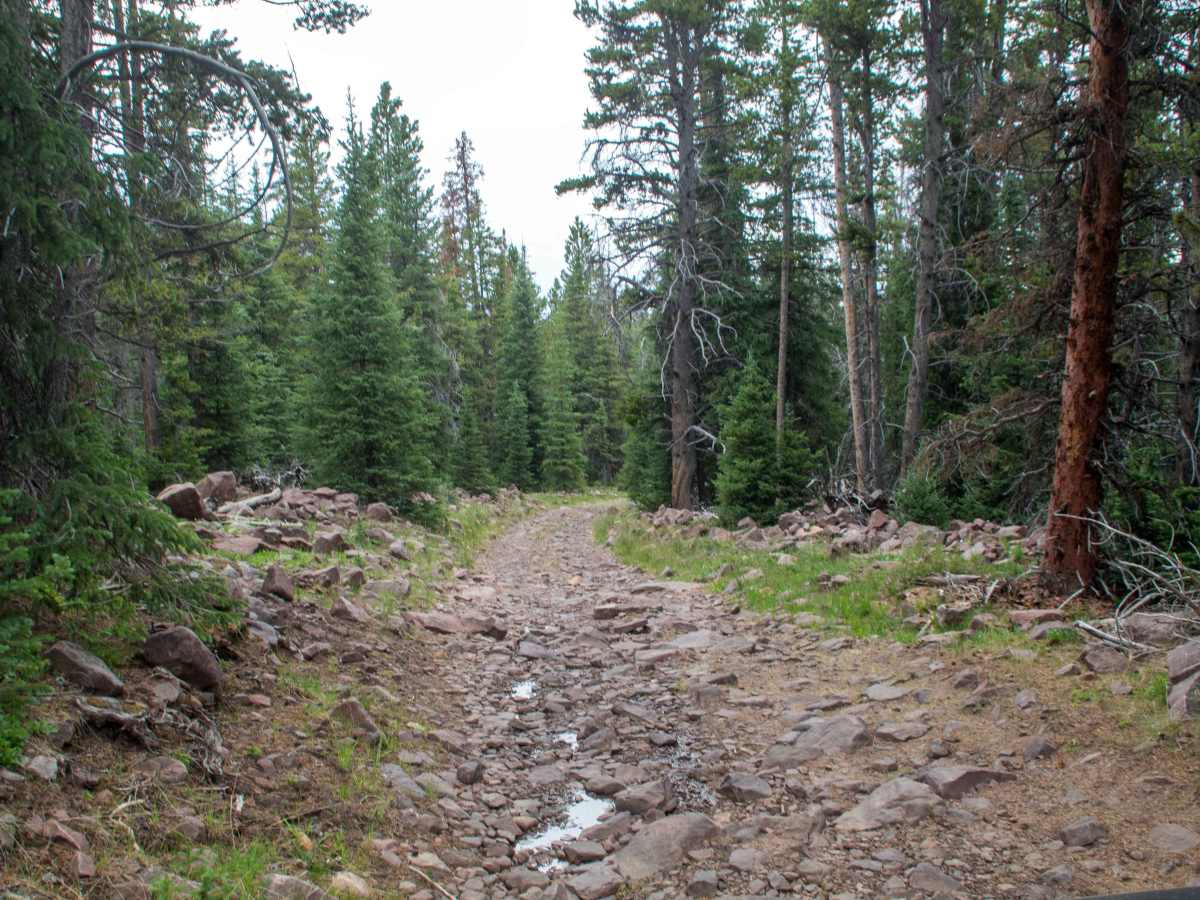 Johnson Creek - FS 10459 photo 5