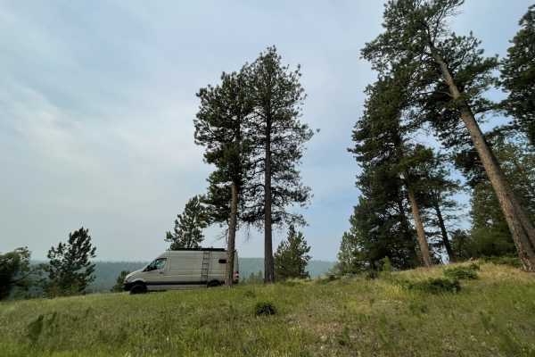 Bear Lodge
