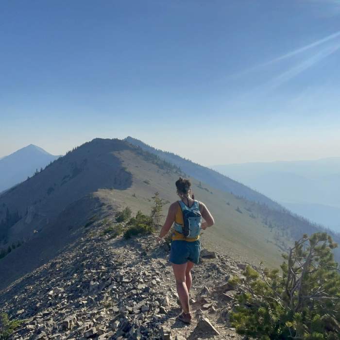 North bound along the ridge to Baldy Near Bridger Ridge Traverse 2.0 (M to Corbly)