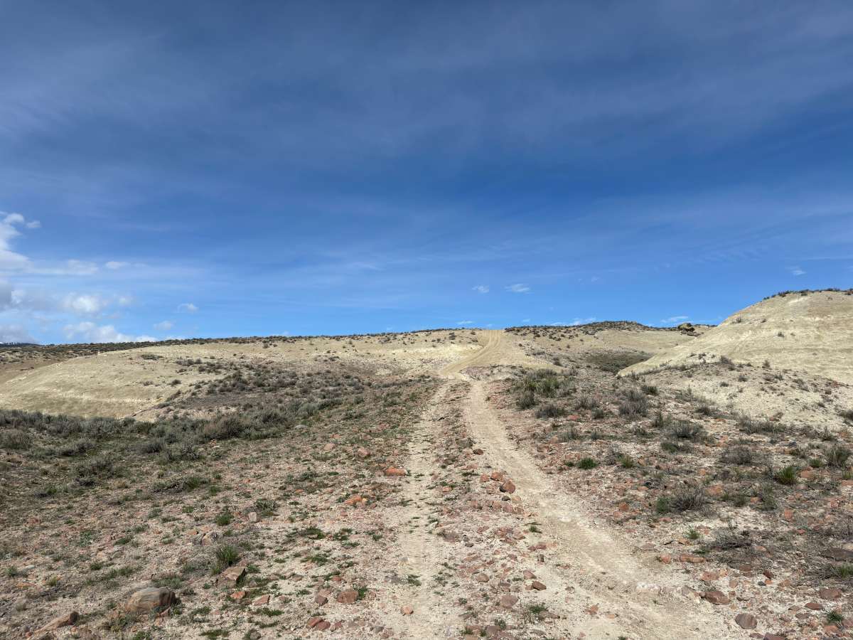 BLM 129 photo 2