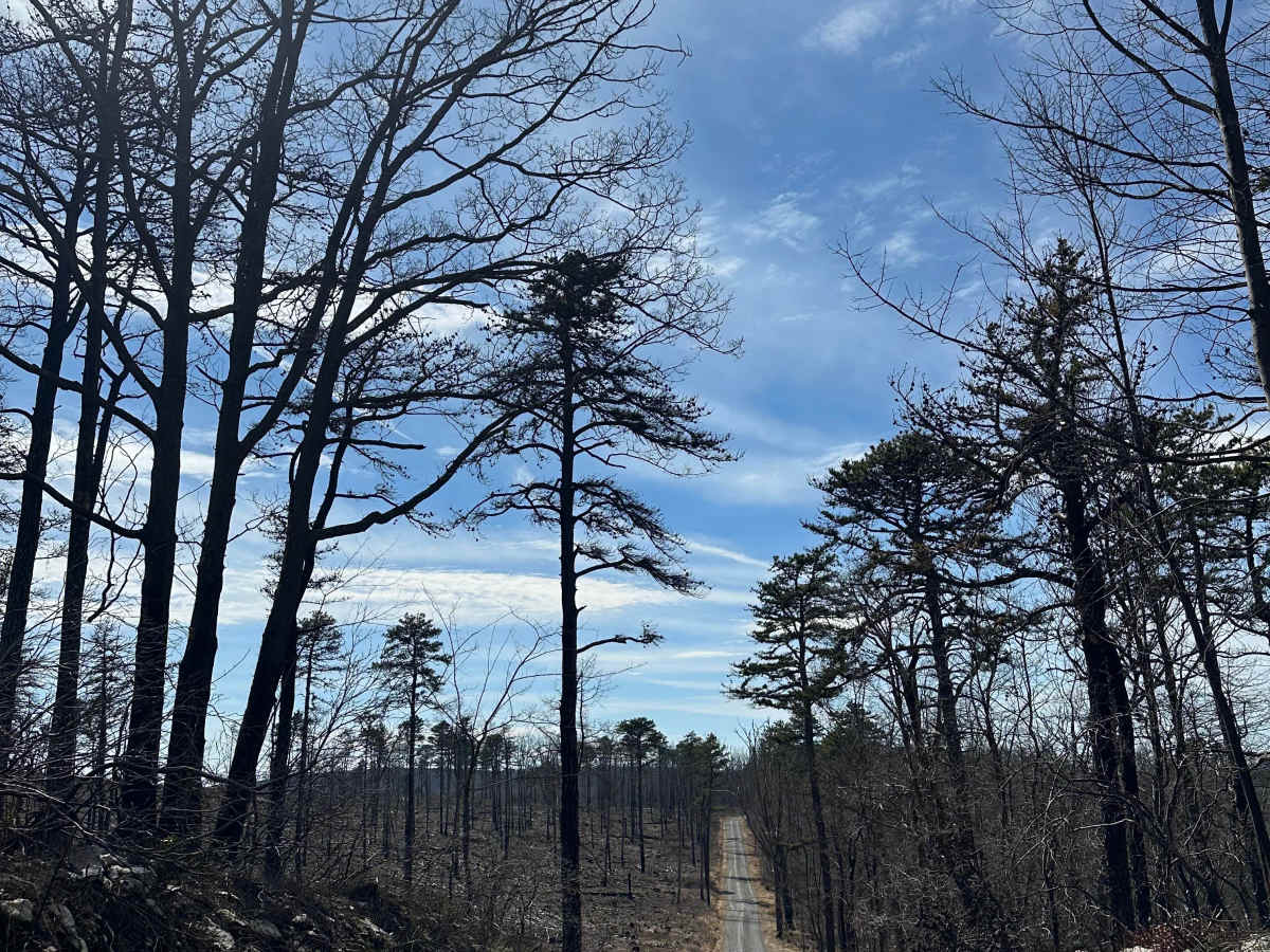Thompson Hollow Road  photo 6