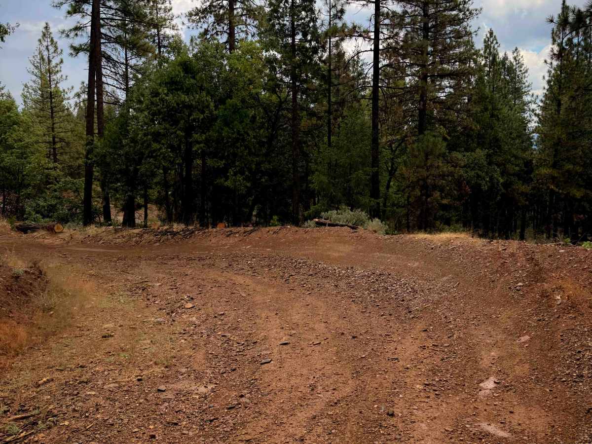 MX Track  photo 4