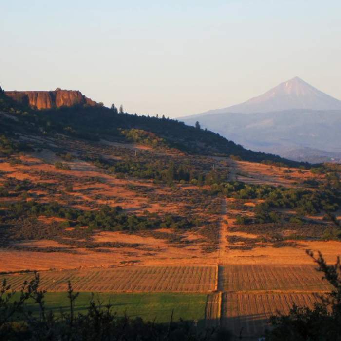 Near Lower Table Rock Hike