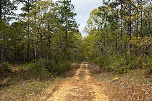 Jeff Capp Road - C133