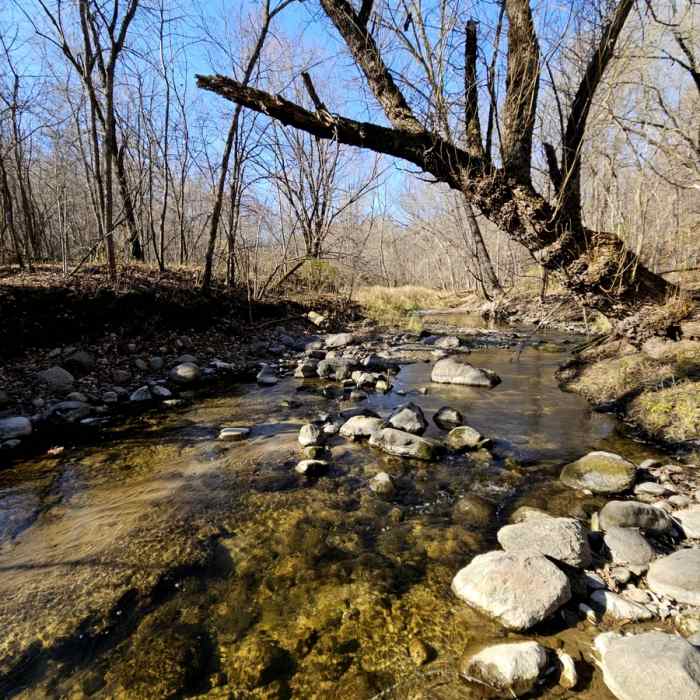 Clear waters in Seven Mile Creek. Near Seven Mile Creek Hike