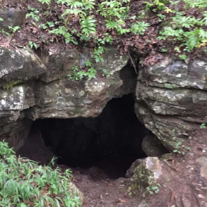 Near Cold Spring Cave