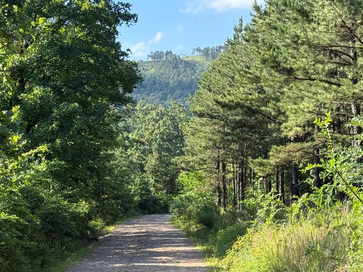 Harvest Road trail photo