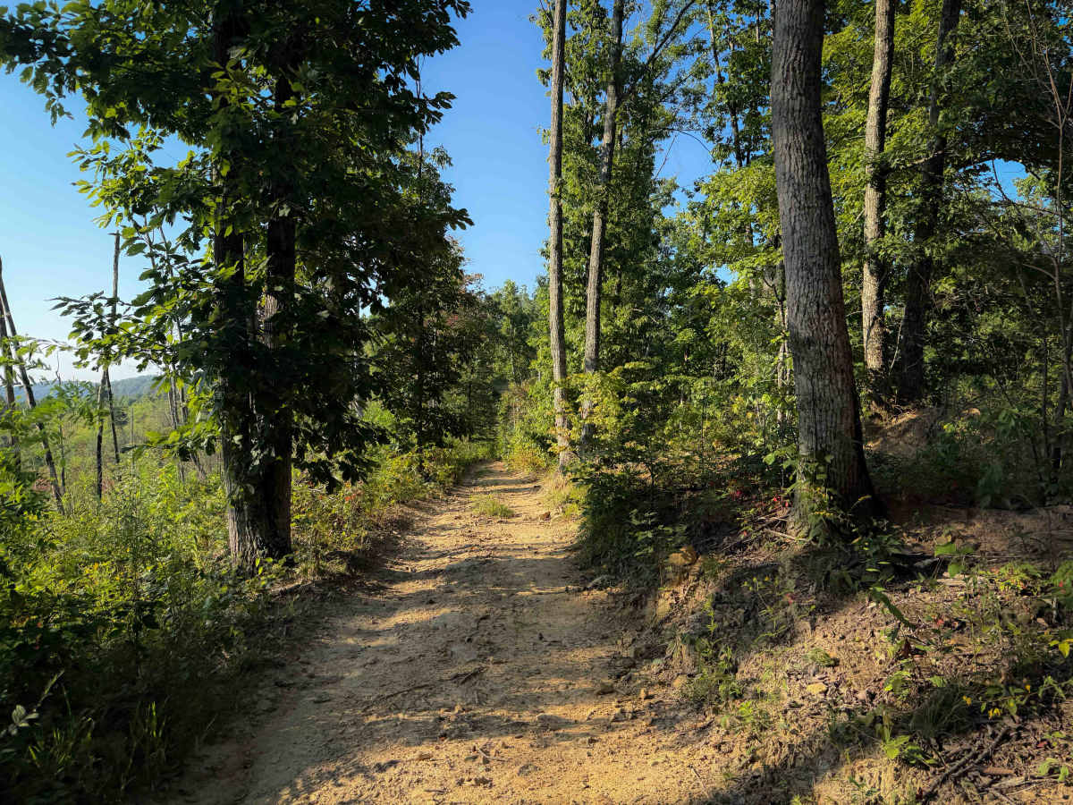 Wilson Loop Trail 38  photo 6