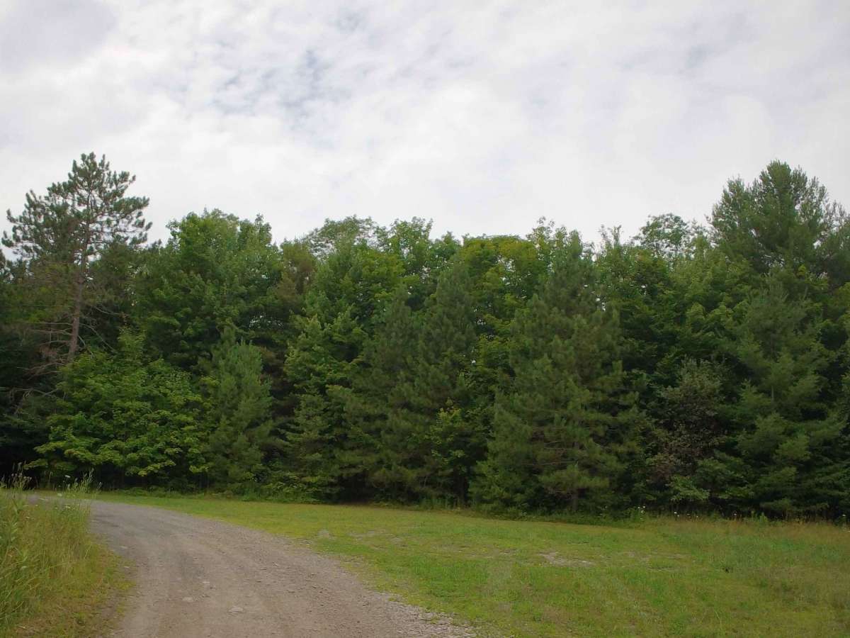 Clear Pond Road photo 5