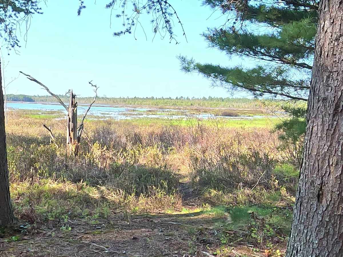 West Brenaman Road photo 3