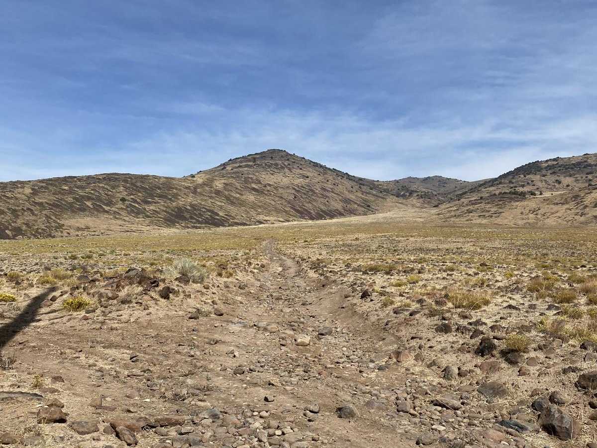 Dry Lakes Loop photo 2