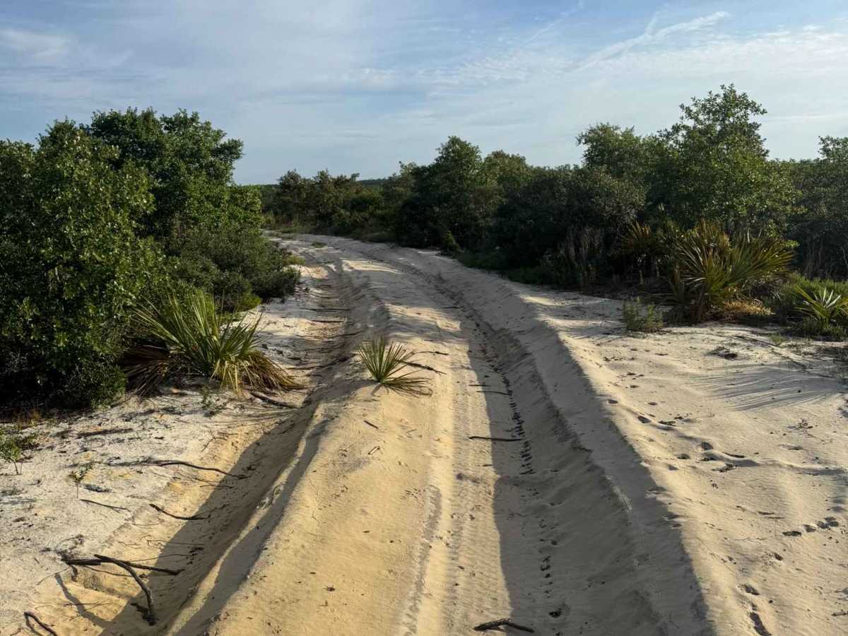 Sand Maze Trail photo 4