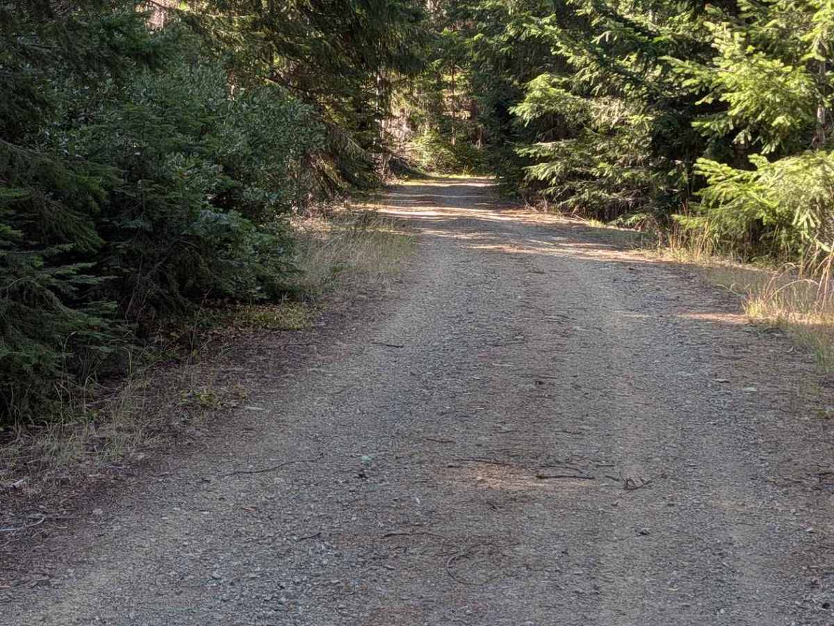 Eagle Rock Road - FS 4N11 photo 3