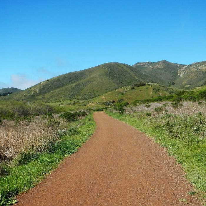 Near Upper Rodeo Trail