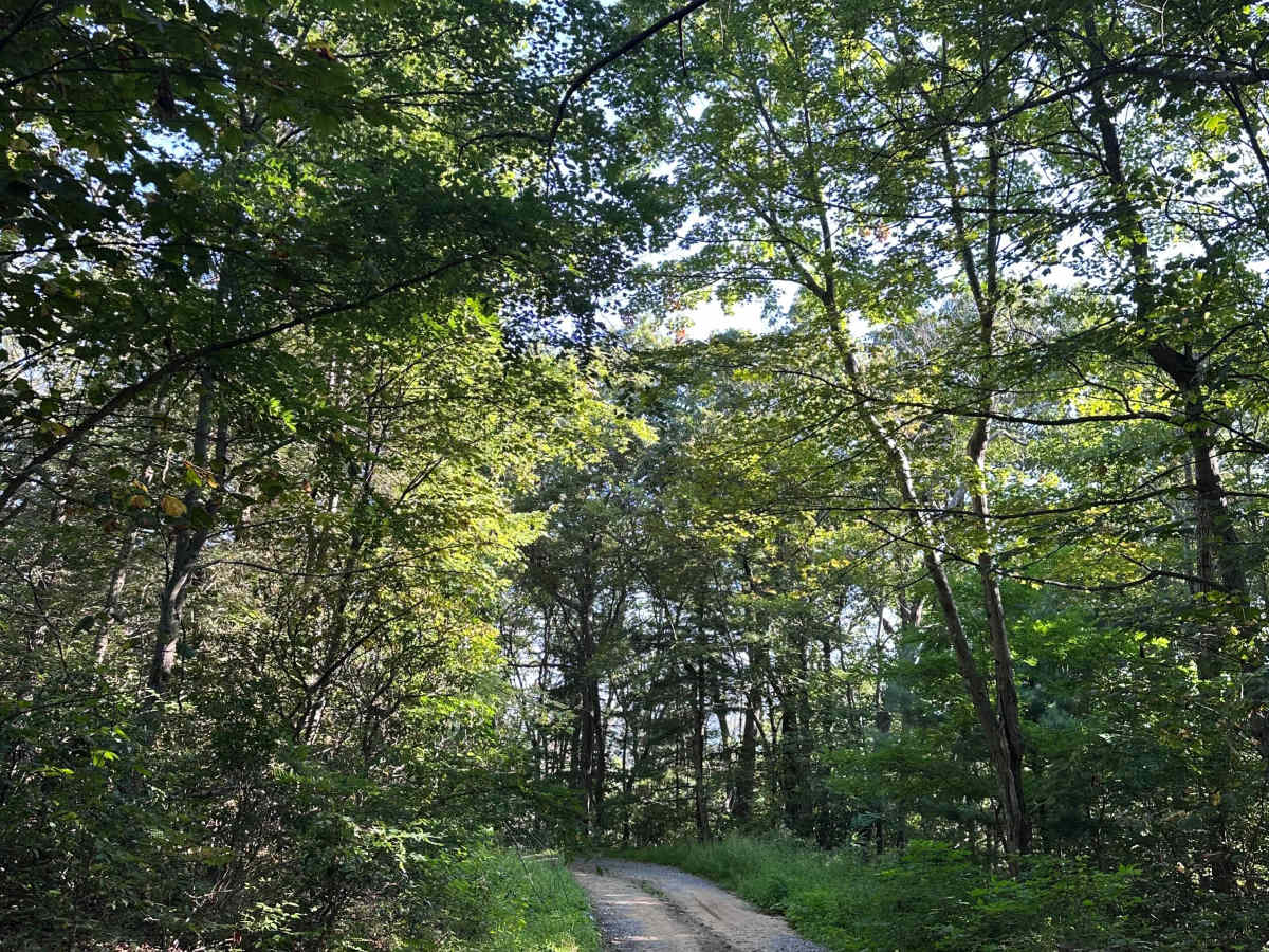 Seybert Connector trail photo