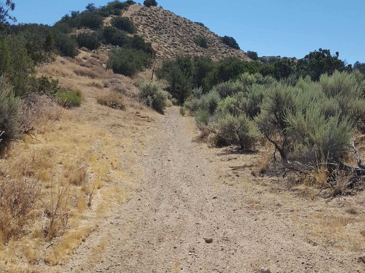 Trail 37 photo 5